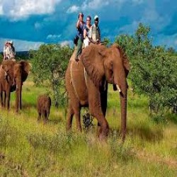 Rajaji Weekend Tour 2N/3D